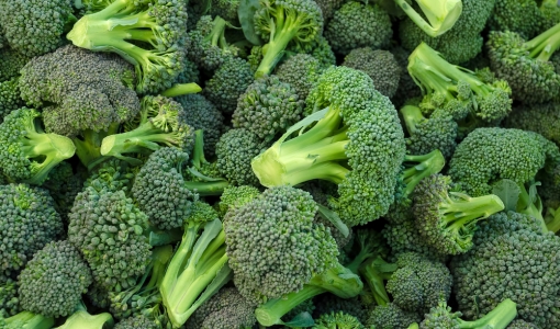 Benefícios do brócolis: 5 razões para comer mais esse vegetal!